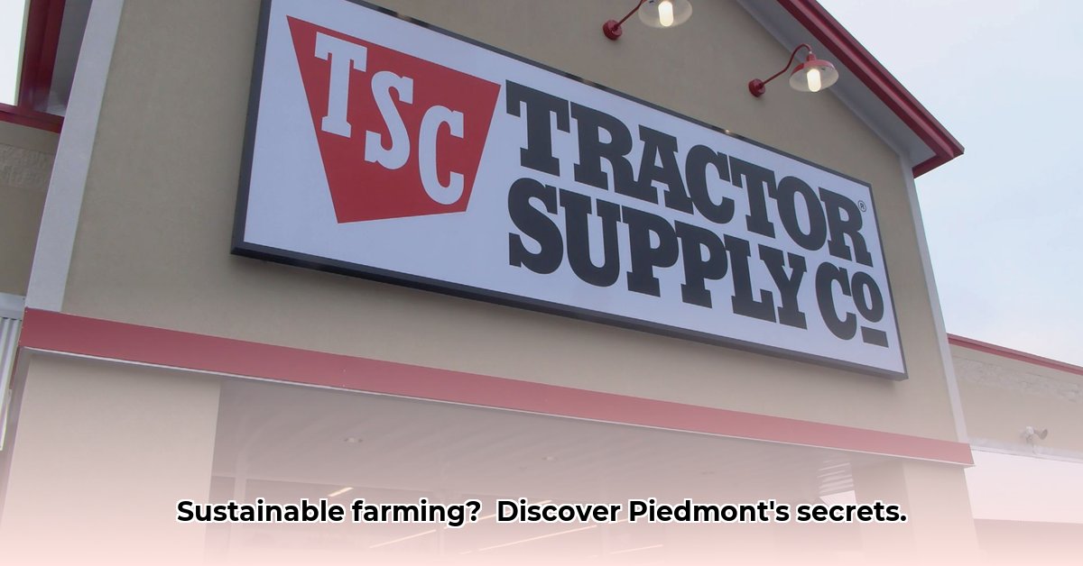 piedmont-tractor-supply